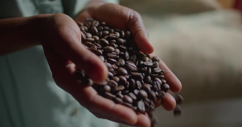 A man uses his hands as a scooper to pour coffee beans into a metal tray