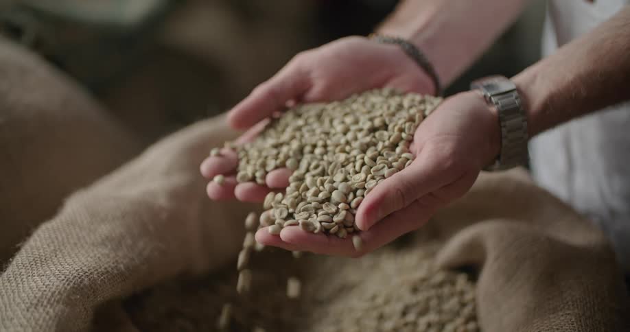Person pouring coffee beans