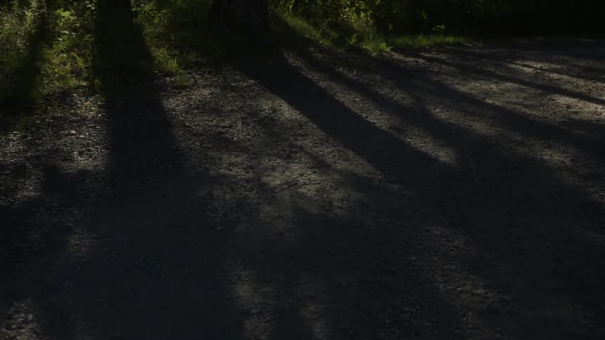 Moving down a heavily shadowed trail