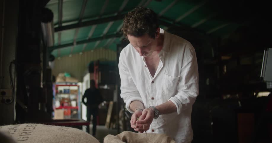 A man opens a burlap sack and examines the fresh unroasted coffee beans