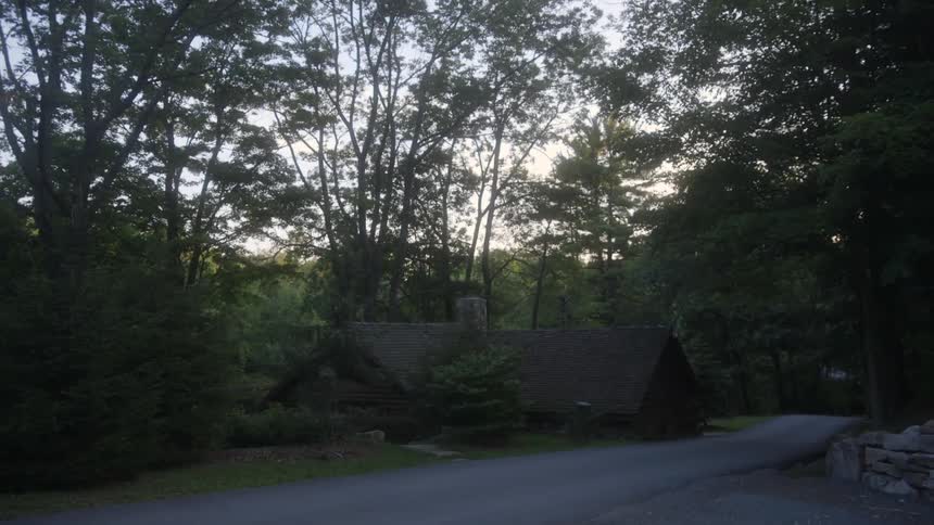 Brown cottage house in a wooded area