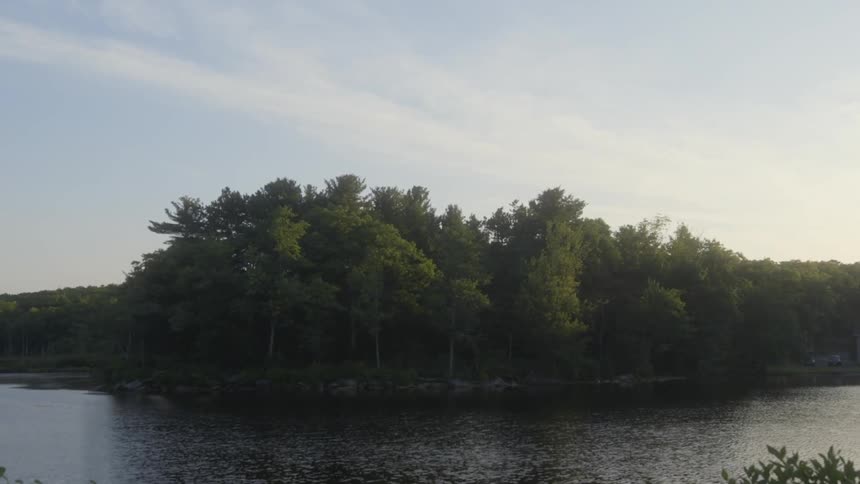The shore has many rocks and trees