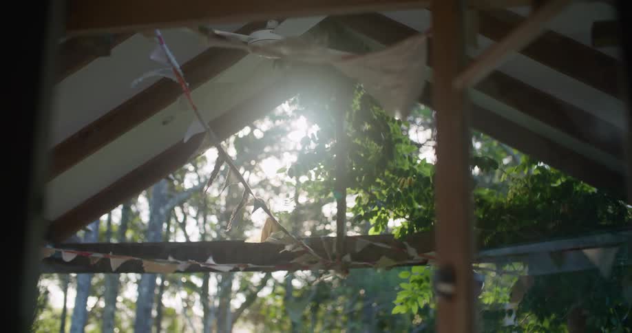 Sun shines through vines into room illuminating ceiling fan and swaying glass door