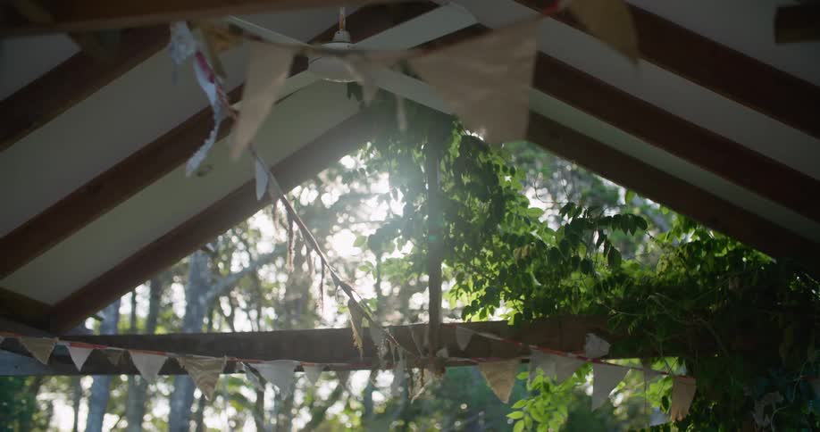 Sun shines through vine into structure as ceiling fan slowly rotates