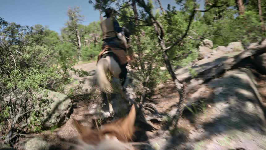 Men with cowboy hats and brown vests ride brown and white horse in the forest