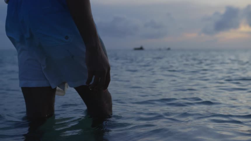 Person wades through ocean water with ships on the horizon
