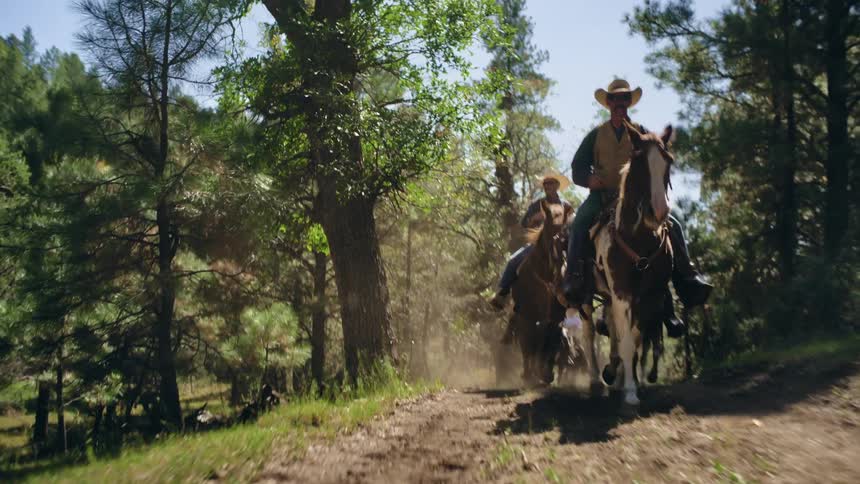 Two people riding horses through a trail