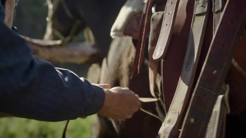 A man saddles a horse outdoors during the day