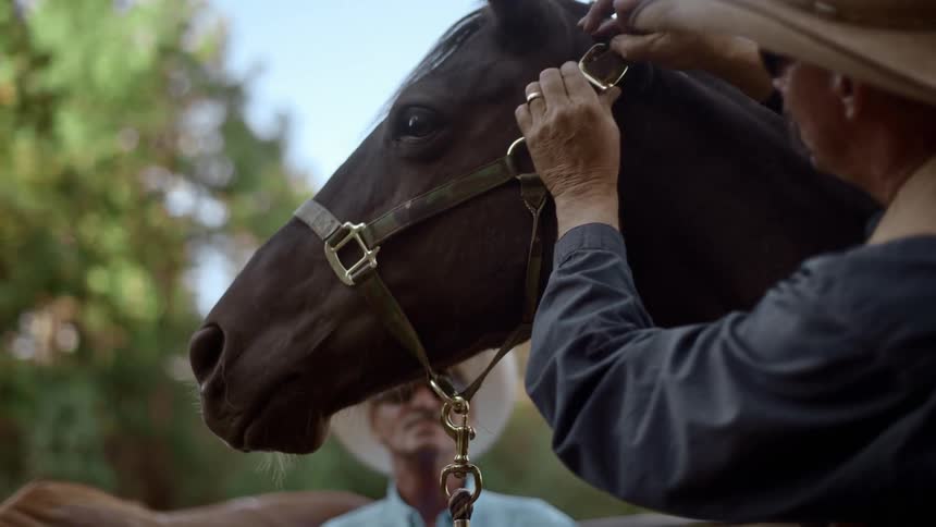 A man adjusts a bridle on his horse
