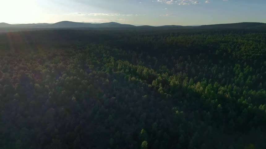 A bright sun on the horizon is shining on a forest of trees with mountains in the distance