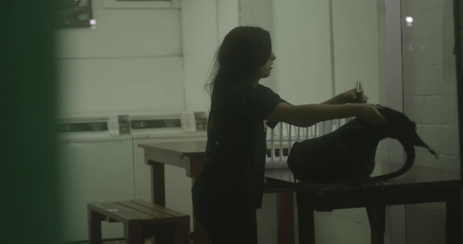 A woman jumps onto a table and starts writing