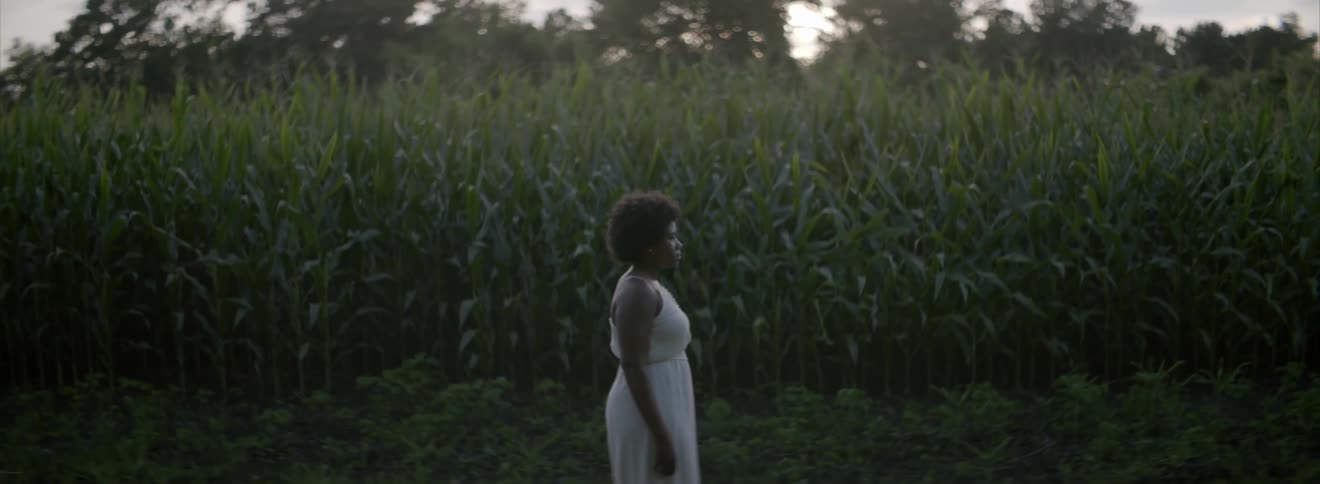 A woman in a white dress stands beside a cornfield