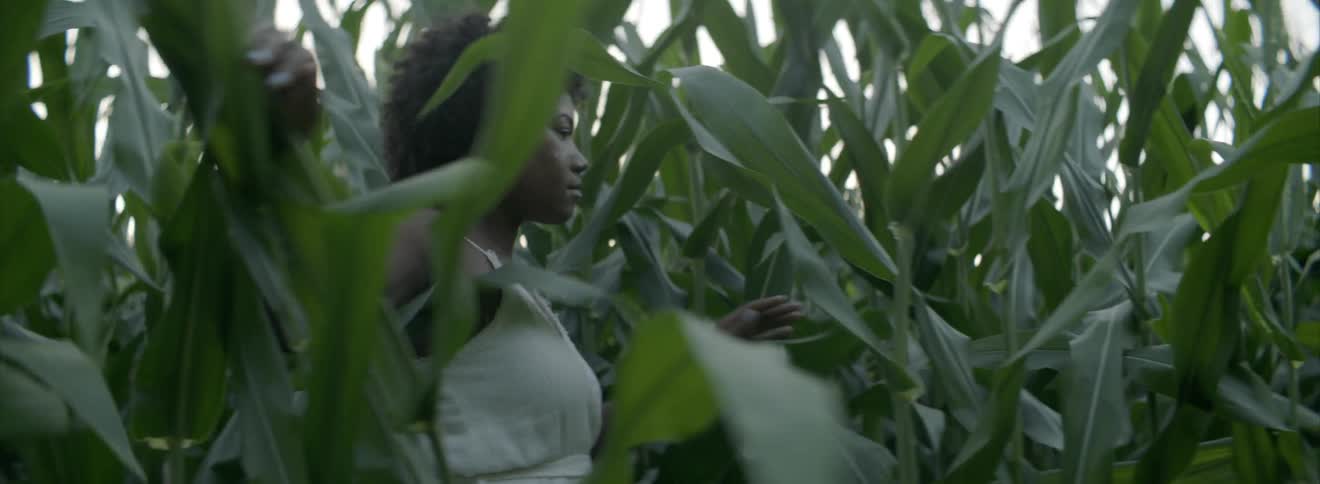 A woman walks through some very tall greenery