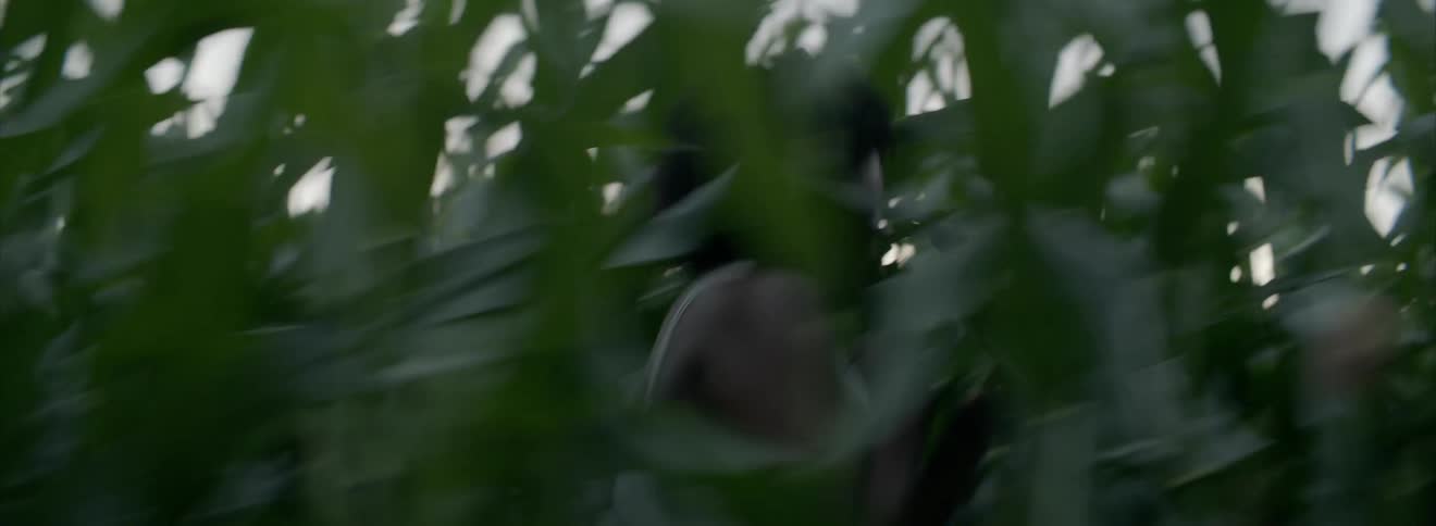 Nervous woman running through a corn field