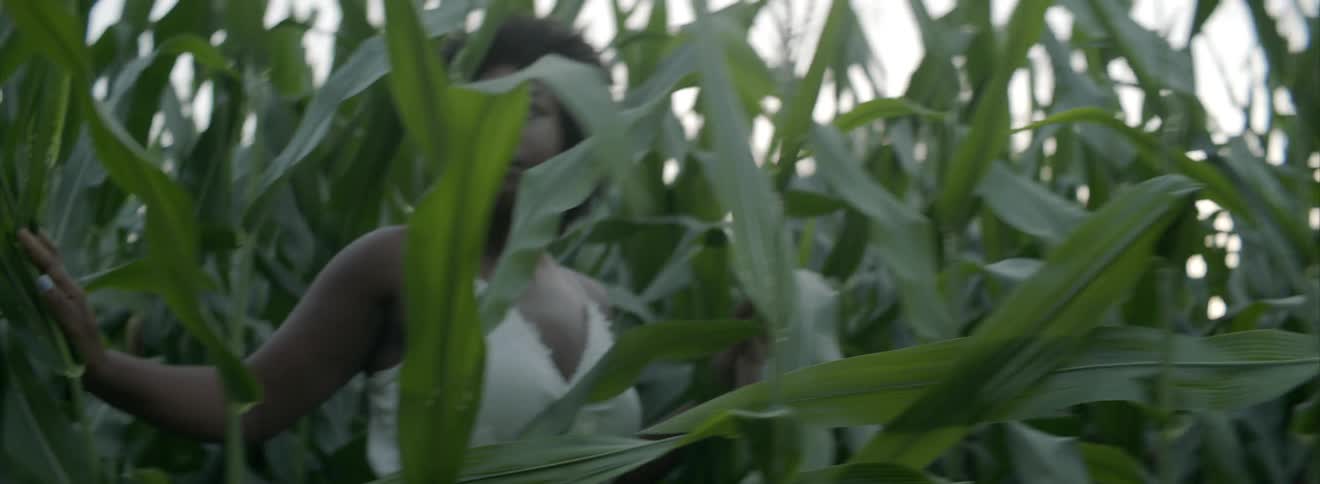 A woman walks in a tall field of plants