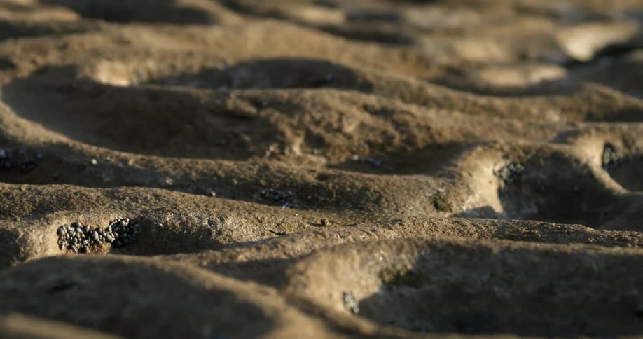 Close up of the waves of a concrete decorative flagstone on the floor
