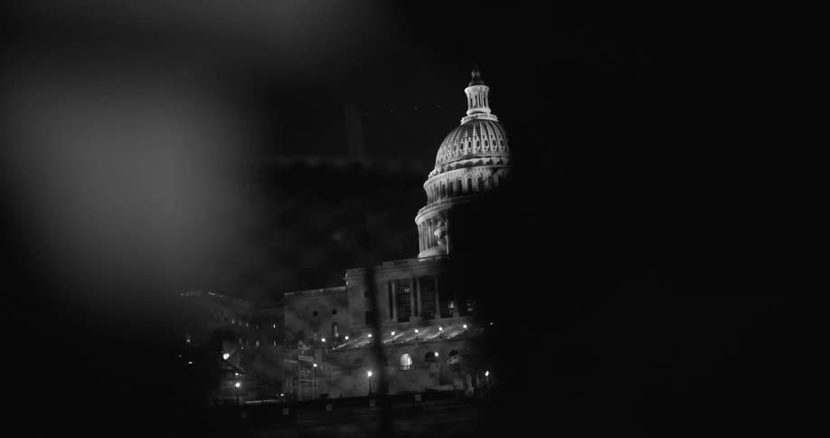 Christmas tree gleams on lawn near capitol building at night