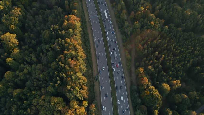 Traffic moves along a freeway through a forest during the day