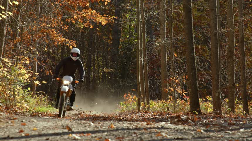 A man rides a motorbike through a forest