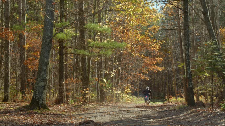 Man rides a motorcycle on a dirt road through a forest at fall
