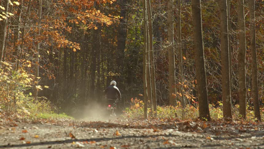 A cyclist is riding a motorcycle on a trail through a forest as fall colored leaves fall from the trees