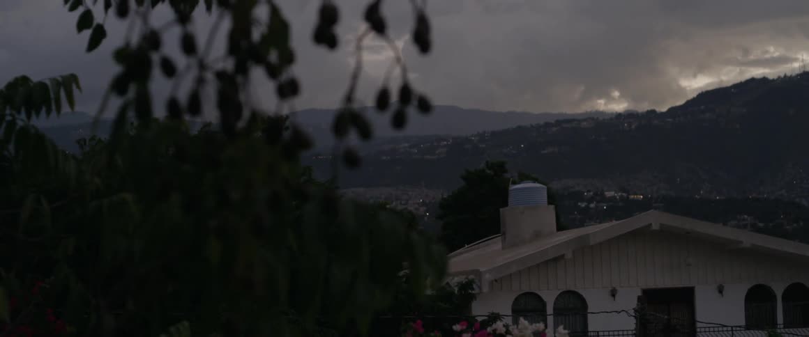 A house sits below behind some blowing leaves at sunset
