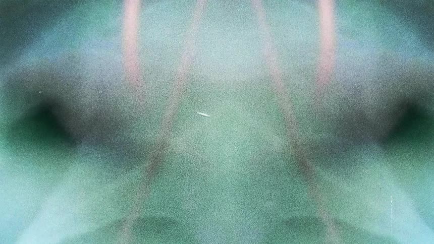 Close up mirror reflection of leafs on tree branches caught on vintage film
