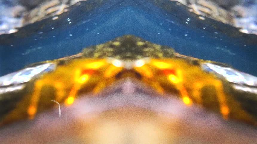 A view of abstract shapes on a screen