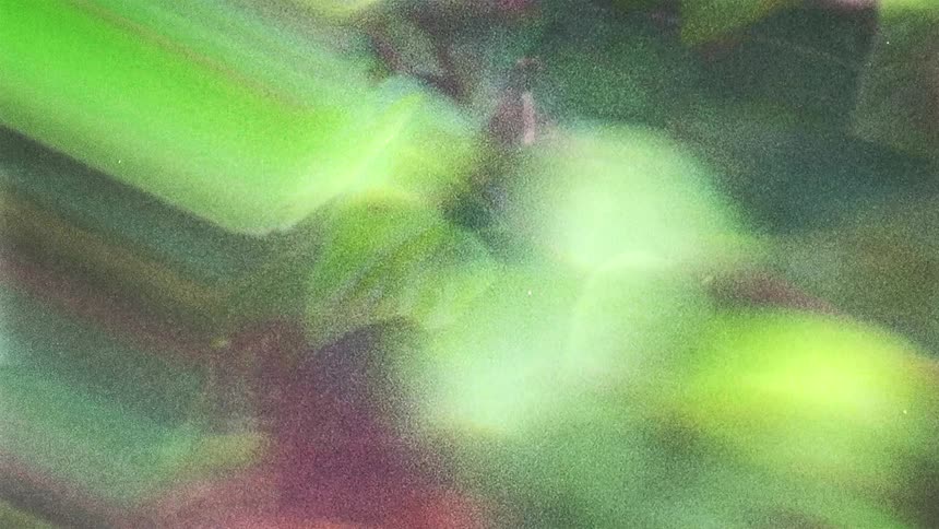 Abstract footage of bright lights on leaves