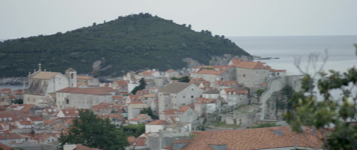 Aerial view of a town by the shore