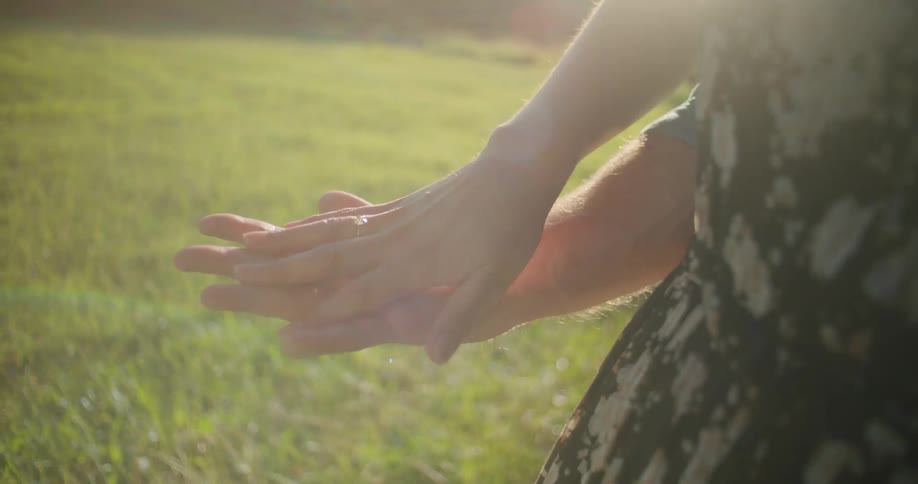 Couple holding hands while standing on a grass field at sunset