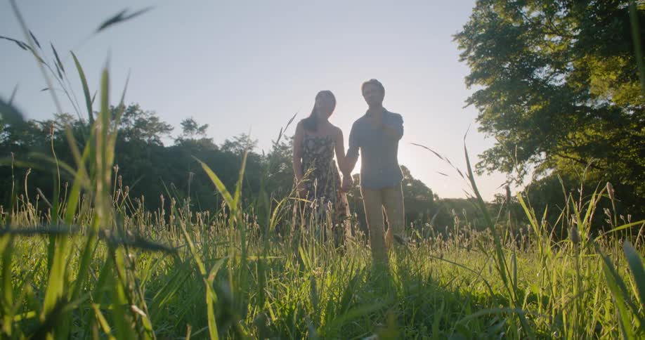 A man and a woman are walking through tall grass holding hands and talking