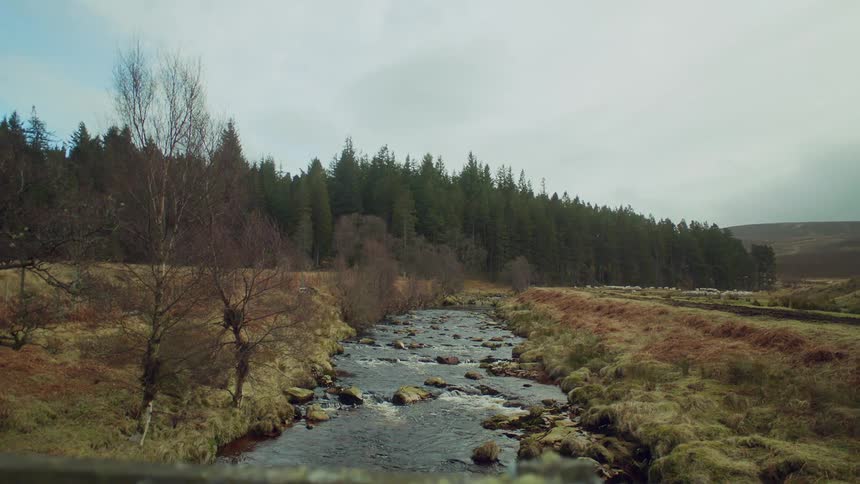 A stream flows over and around rocks with a forest of evergreens and hill in the distance
