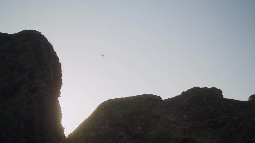 A bird flies over a rock formation in the canyon