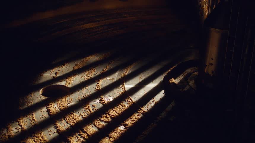 Sunlight through a barred window casts a shadow on a circular metal plate covered in ground up grain