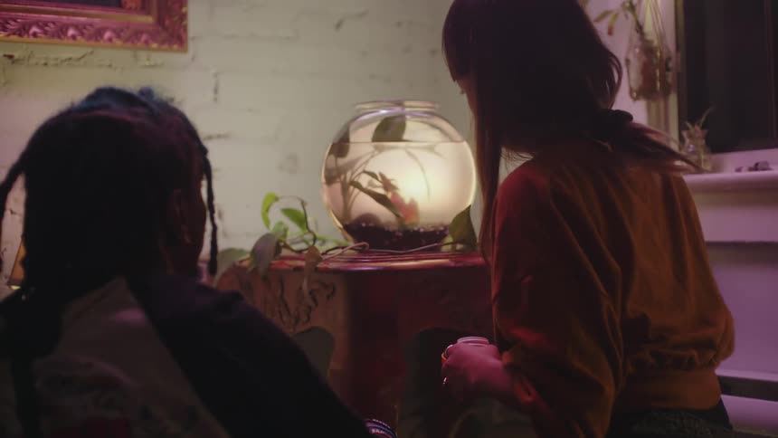 Man watches woman feeding fish in bowl near window