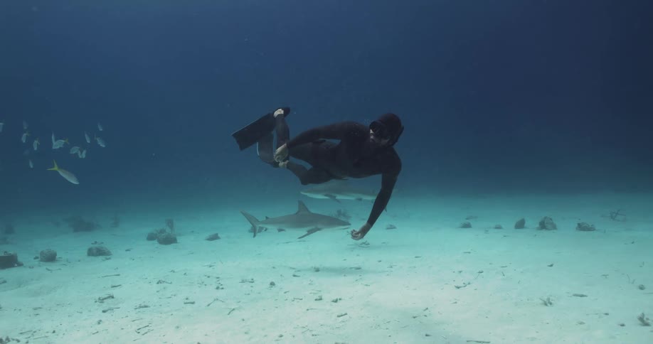 A scuba diver is swimming underwater among many fish