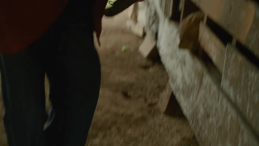 A man lifts a farming tool and hangs it on the wooden planks
