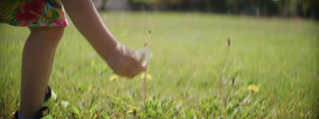 Child lifting flower up