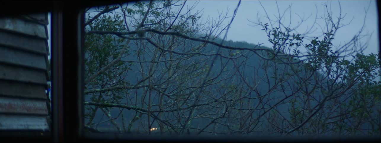 Looking out a window into an area with trees
