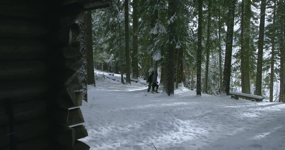 Two people walking through a snowy forest