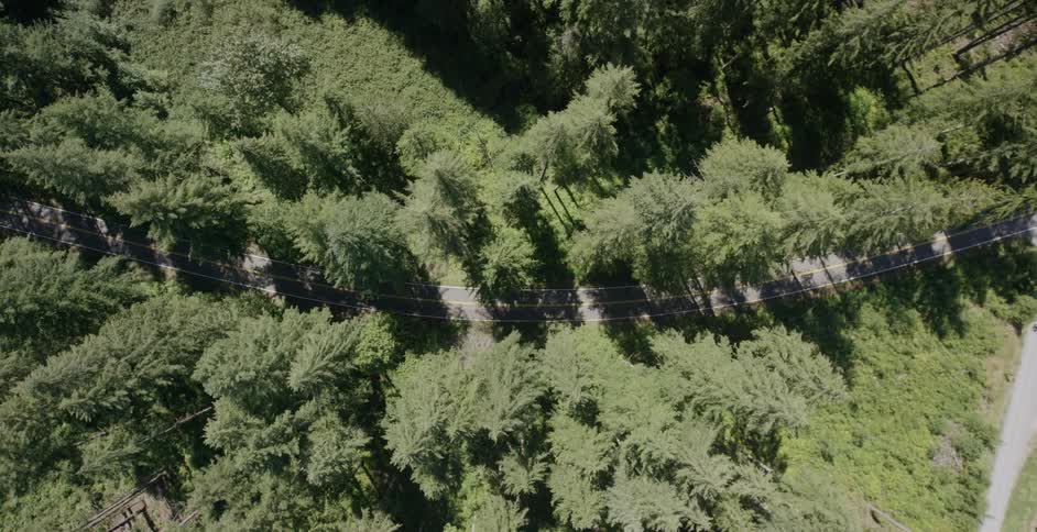 Aerial view of a road winding through the woods