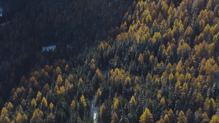 Aerial view of a small town in a valley on the mountains near a pine tree forest