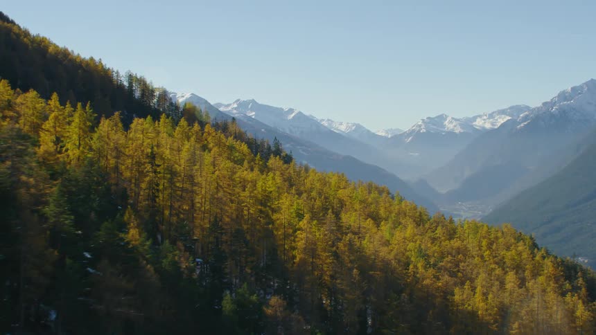 A forest is on the mountain range