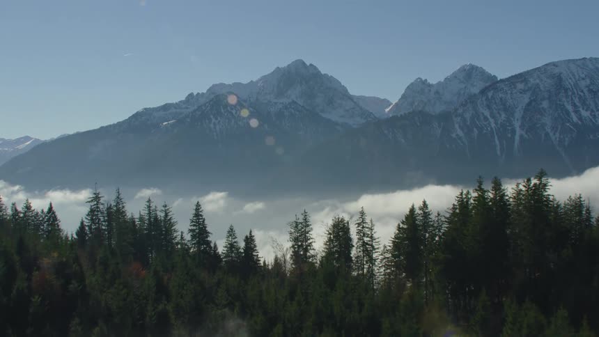 Dense fog covers forest and mountains on sunny day
