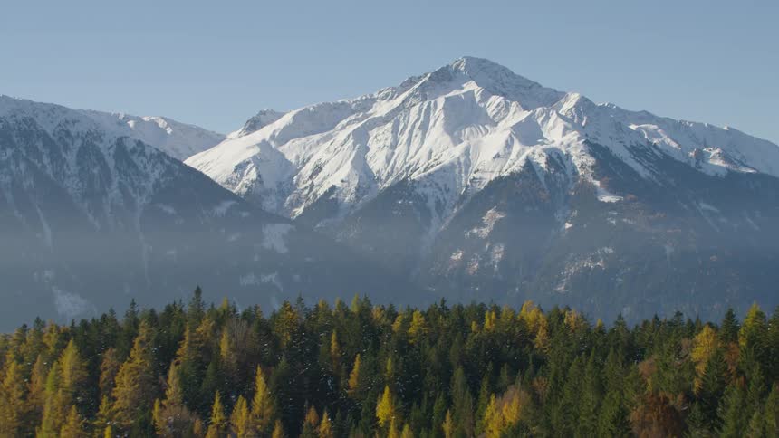 Forest trees opposite a snow capped mountain peak on a sunny day