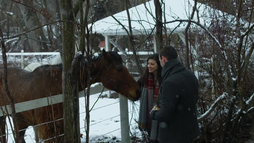 A man and women are petting a horse as it snows