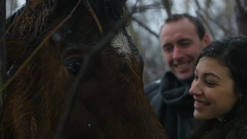Man and woman smiling at a brown horse