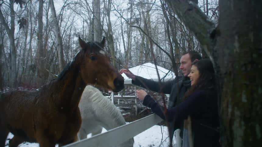 A man and woman stand by a wood fence and pet a horse while it snows