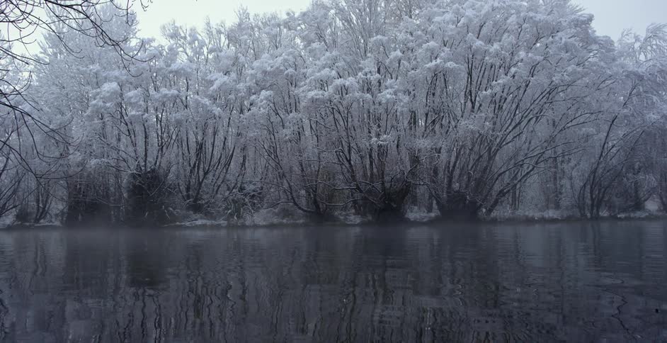 View of a lake and snow covered trees